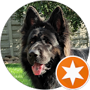 Monika Rakowska profile picture